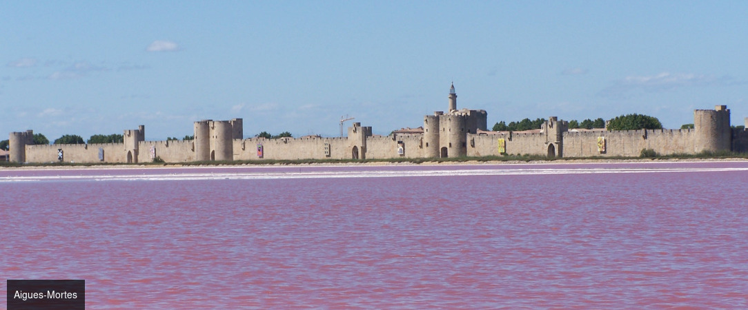 Boutique Hôtel des Remparts & Spa ★★★★★ - Luxe à la française au cœur du Languedoc, dans la cité médiévale d’Aigues-Mortes. - Aigues-Mortes, France
