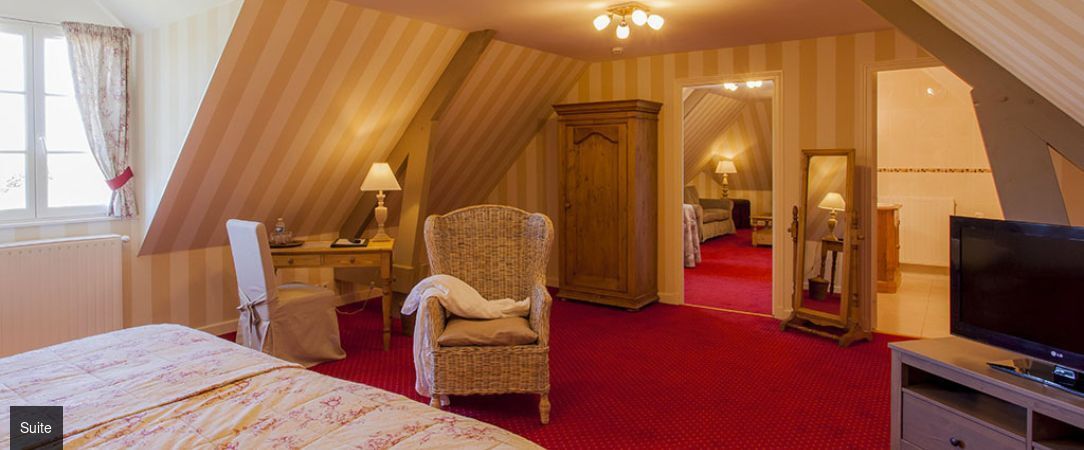 Logis Hôtel Le Fleuray - Escapade en Val de Loire dans une élégante gentilhommière nimbée de verdure. - Centre-Val de Loire, France