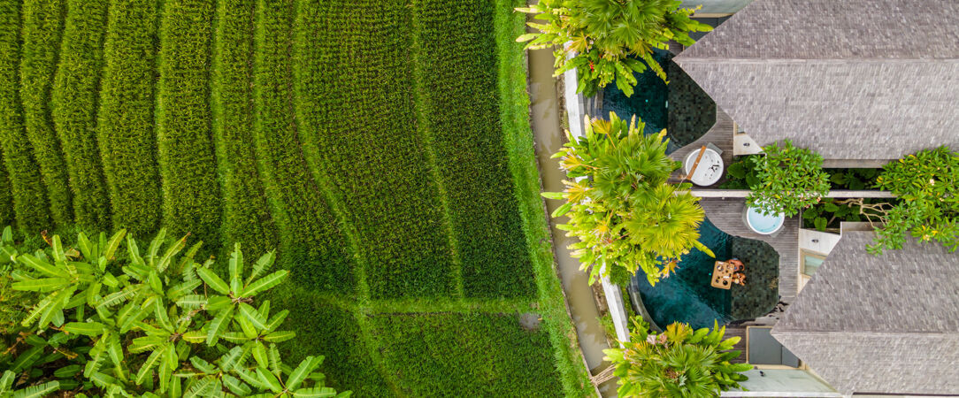 Astera Luxury Resort & Spa Canggu by Ini Vie Hospitality ★★★★★ - Escapade romantique sur l’île de Bali - Canggu, Indonésie