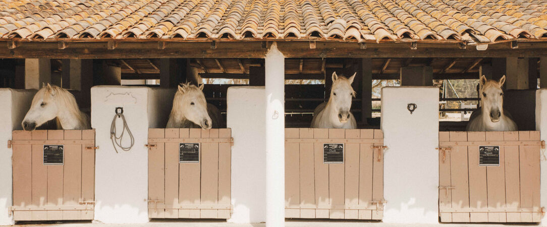 Les Bains Gardians ★★★★ - Luxe décontracté et reconnexion profonde à la nature dans d’authentiques cabanes de Gardians en Camargue. - Saintes-Maries-de-la-Mer, France
