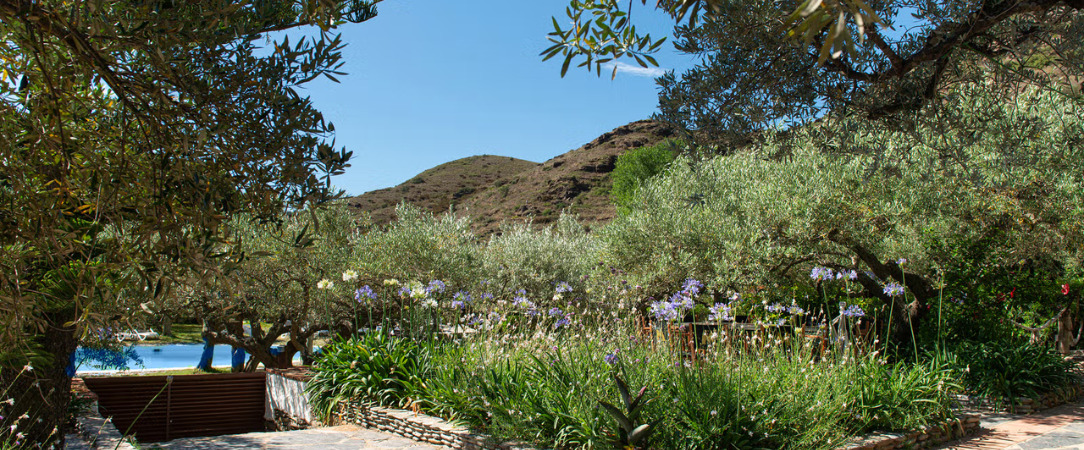 Hôtel Cala Joncols - A charming secret paradise on the Costa Brava. - Costa Brava, Spain