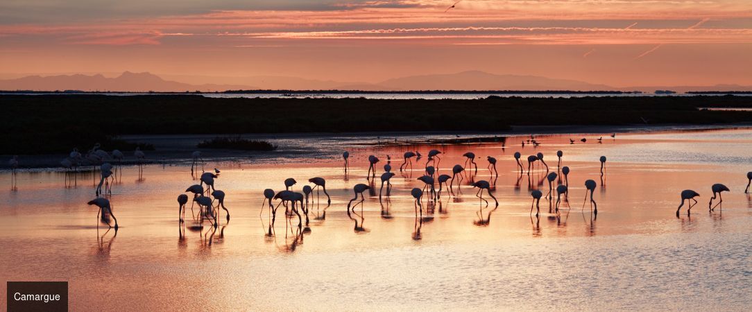 Mas de la Fouque - L’esprit nature chic au cœur de la Camargue. - Camargue, France