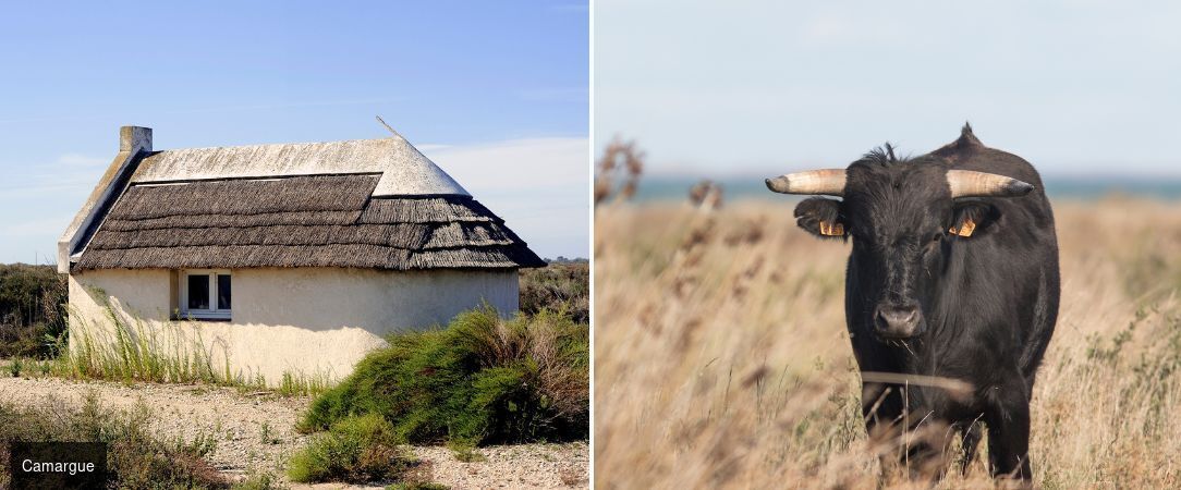 Mas de la Fouque - L’esprit nature chic au cœur de la Camargue. - Camargue, France