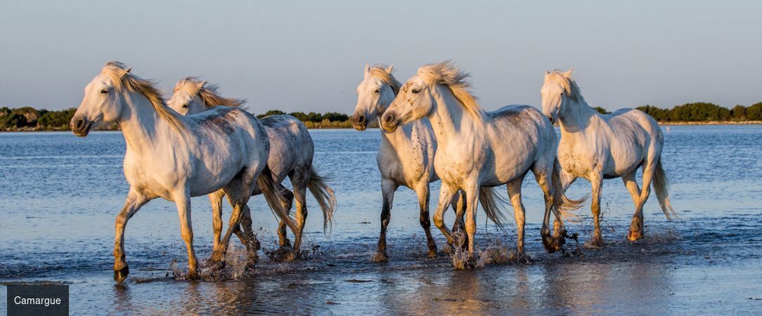 Mas de la Fouque - L’esprit nature chic au cœur de la Camargue. - Camargue, France