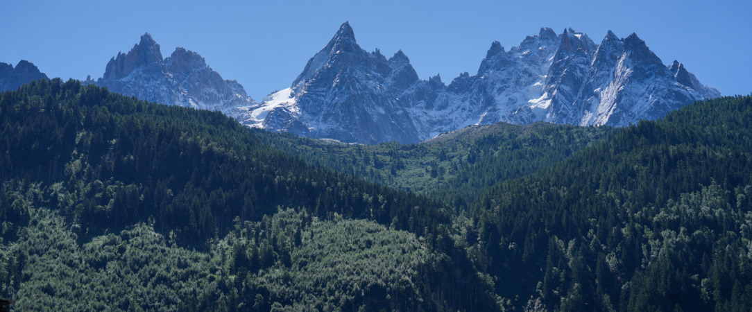 Auberge du Manoir - Un authentique chalet plein de charmes à Chamonix. - Chamonix, France