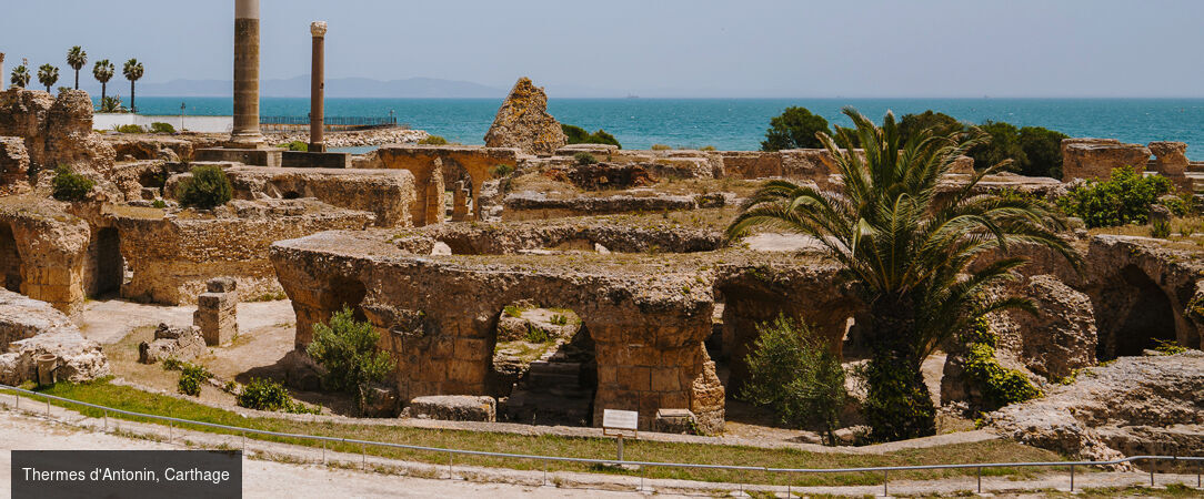 The Residence Tunis ★★★★★ - Cinq étoiles de rêve illumineront vos nuits aux portes de Carthage. - Tunis, Tunisie