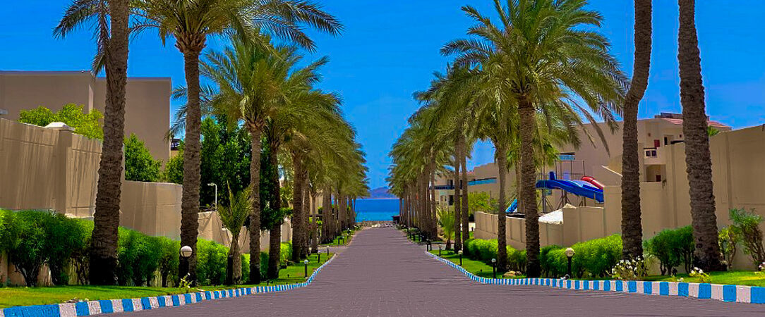 Ivy Cyrene Island Aqua Park Resort ★★★★ - Resort All Inclusive sous le soleil égyptien, l'idéal pour profiter en famille. - Sharm el-Sheikh, Egypt