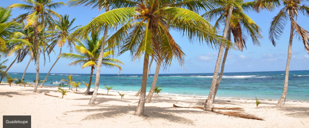 Habitation I'SEO - Adult only -  - Guadeloupe, France