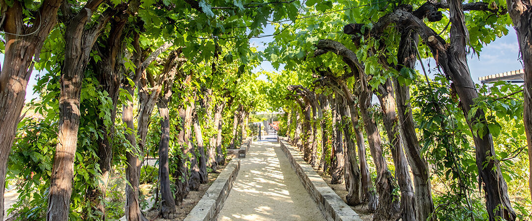 Ultimate Provence ★★★★ Dernière Minute -  - Var, France