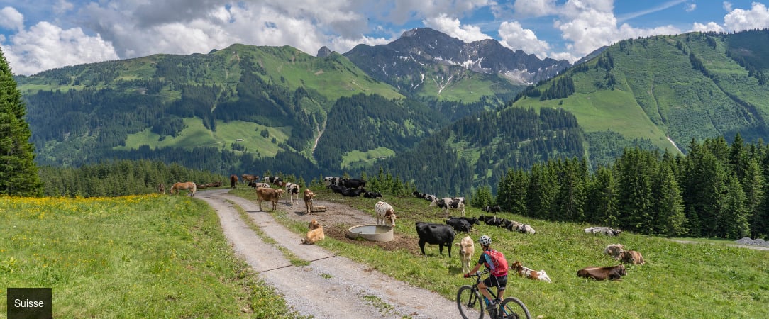 Boutique Hôtel Corbetta ★★★★ - Esprit chalet, bulle d’oxygène et de confort dans la nature splendide des Préalpes fribourgeoises. - Les Paccots, Suisse