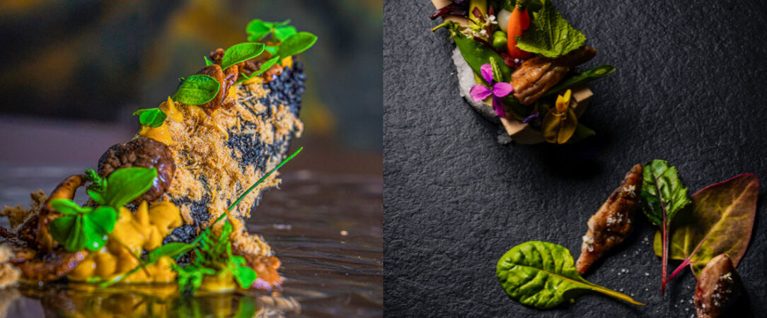 Auberge de la Tour ★★★★ - La semaine des Chefs étoilés : le Chef Renaud Darmanin vous invite ! - Cantal, France