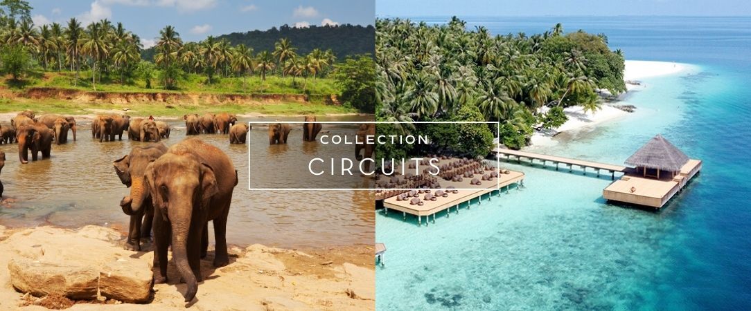 Circuit groupé : Découverte du Sri Lanka et escapade aux Maldives - UN VOYAGE ÉPOUSTOUFLANT ENTRE LE SRI LANKA ET LES MALDIVES, À L’AUNE DU PARADIS. - Sri Lanka