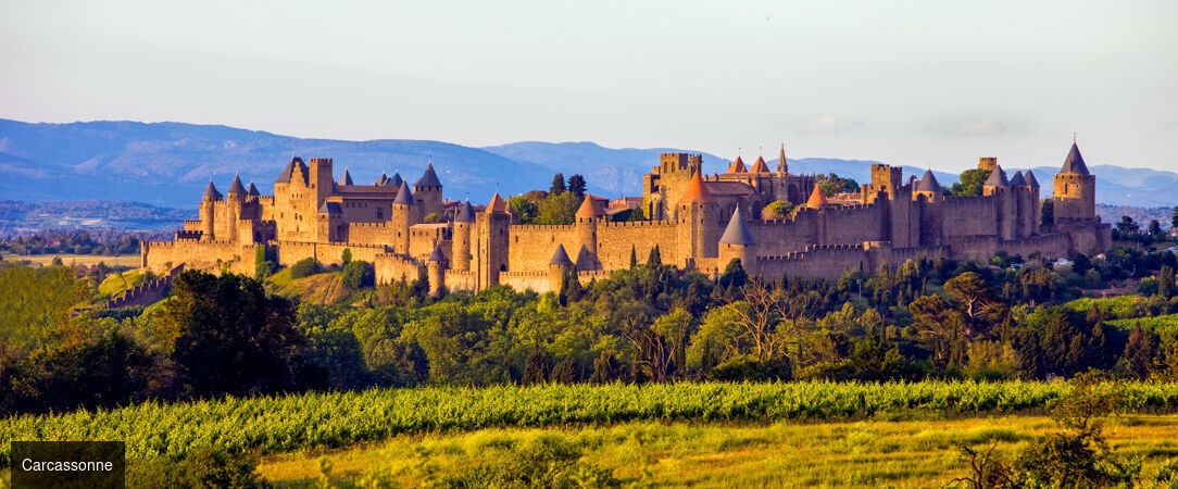 Logis Hôtel Château De Palaja ★★★★ - Une escapade élégante au cœur de l’Occitanie, à deux pas de Carcassonne. - Carcassonne, France