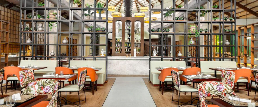 Sunscape Coco Punta Cana ★★★★ - All Inclusive dans une oasis tropicale en bord de mer, sous les tropiques en République Dominicaine, l'idéal pour profiter en famille. - Punta Cana, République Dominicaine