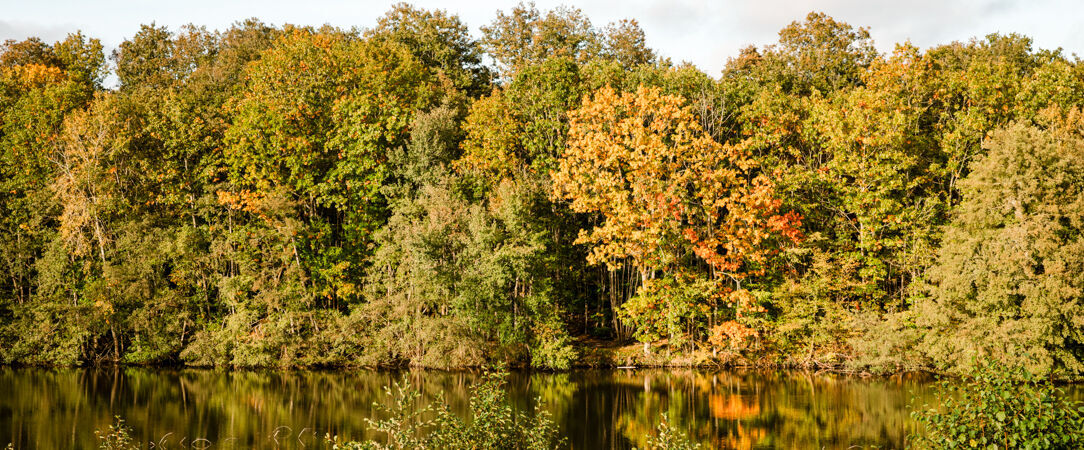Domaine Repère Sauvage - Un coin de nature grandiose pour se retrouver près de Blois. - La Ville-aux-Clercs, France