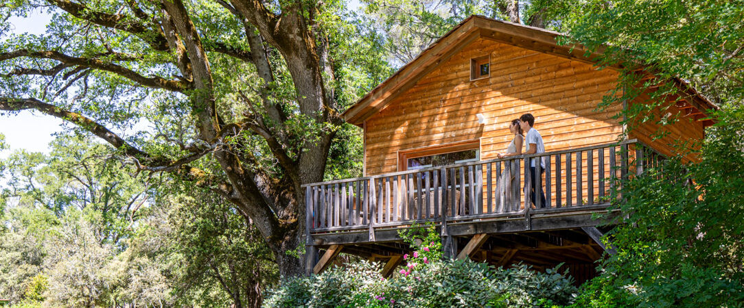 Château Mentone - Entre vignes, pins et pierres blondes, une parenthèse raffinée en Provence verte. - Saint-Antonin-du-Var, France