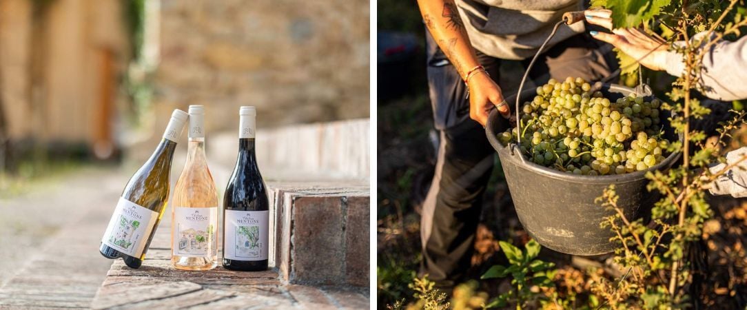 Château Mentone - Entre vignes, pins et pierres blondes, une parenthèse raffinée en Provence Verte. - Var, France