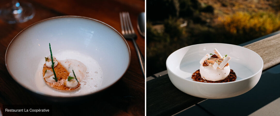 The Domaine Riberach ★★★★ - Mountain serenity and gourmet delights in Languedoc-Roussillon. - Pyrenees-Orientales, France