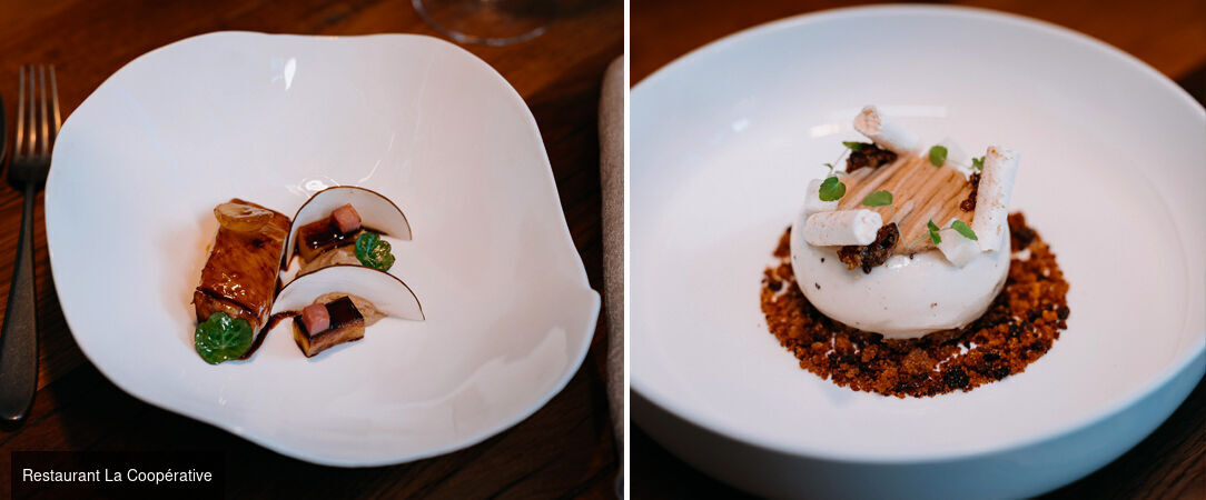 The Domaine Riberach ★★★★ - Mountain serenity and gourmet delights in Languedoc-Roussillon. - Pyrenees-Orientales, France