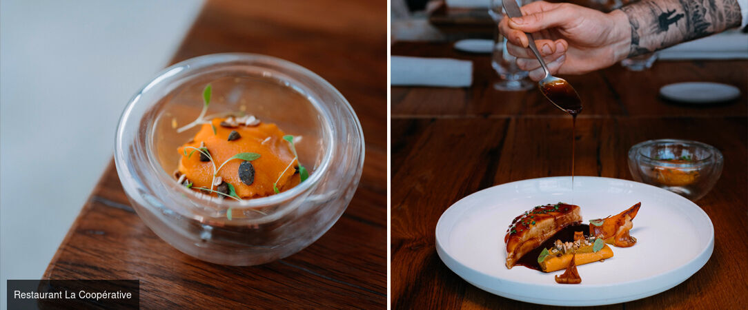 The Domaine Riberach ★★★★ - Mountain serenity and gourmet delights in Languedoc-Roussillon. - Pyrenees-Orientales, France