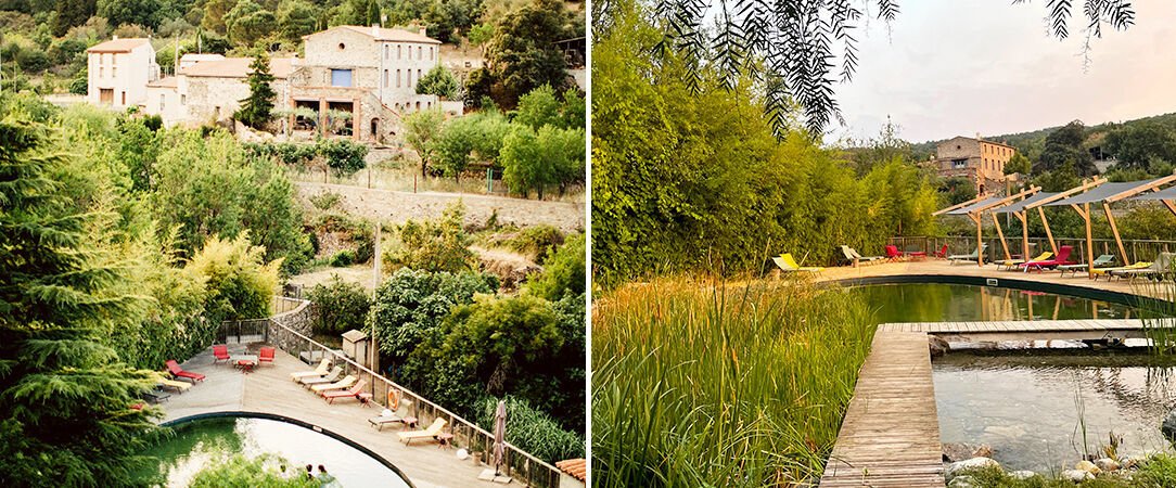 The Domaine Riberach ★★★★ - Mountain serenity and gourmet delights in Languedoc-Roussillon. - Pyrenees-Orientales, France