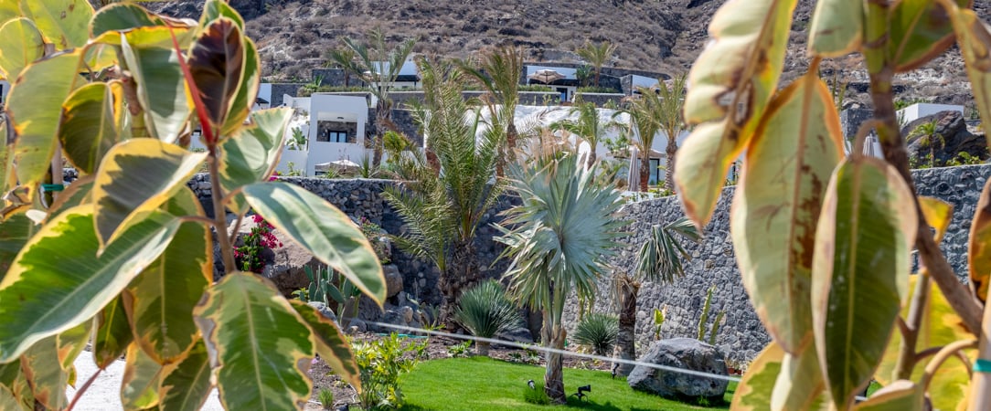 Palm Island Suites Santorini - Une oasis raffinée à Santorin, entre douceur de vivre et lumière grecque. - Santorin, Grèce