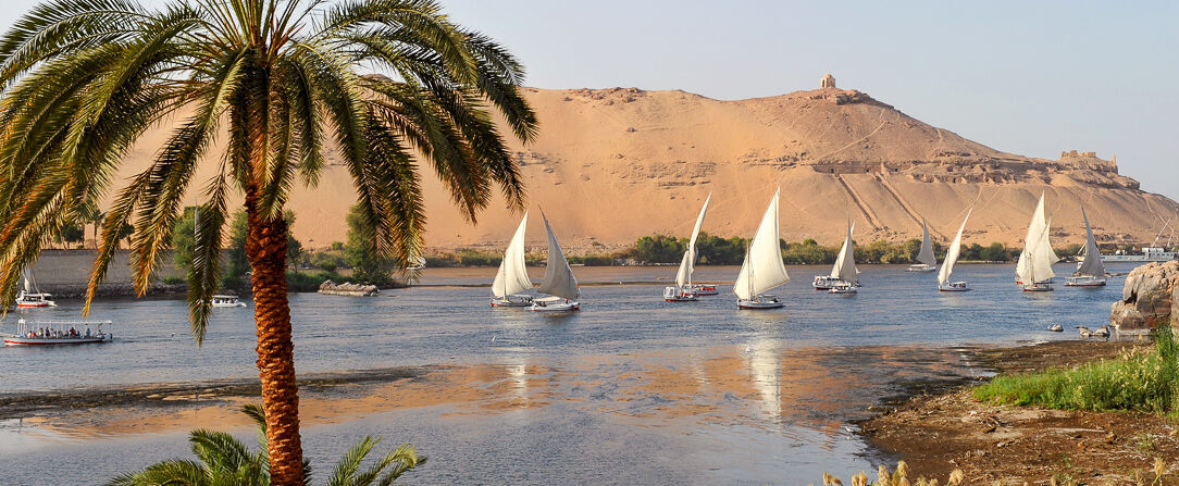 Sentido Naga Bay ★★★★★ -  - Hurghada, Égypte