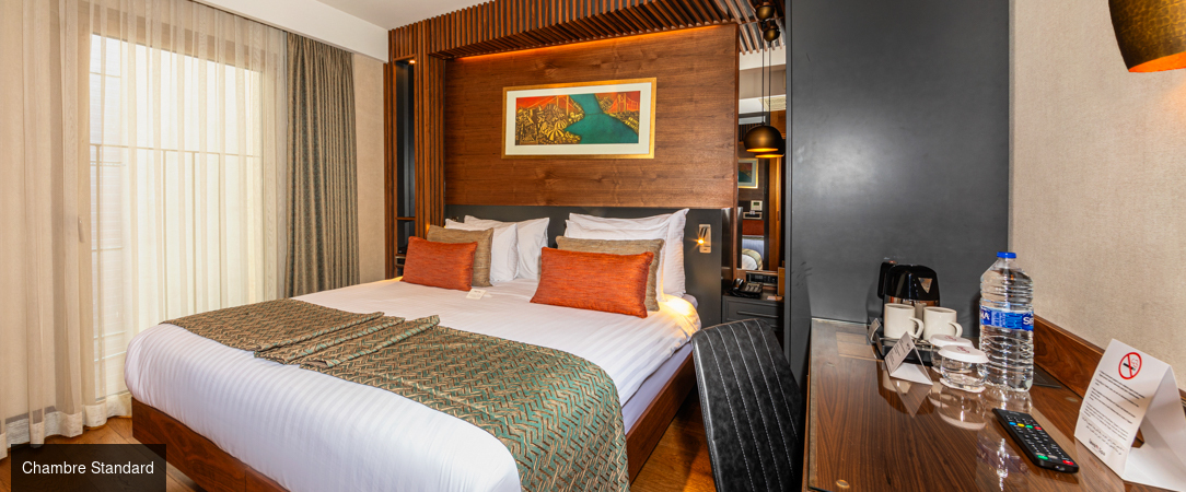 Levni Plus Hotel - Pied-à-terre confortable, refuge urbain en plein cœur du légendaire quartier de Topkapi à Istanbul. - Istanbul, Turquie