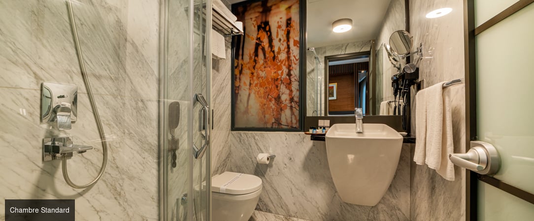 Levni Plus Hotel - Pied-à-terre confortable, refuge urbain en plein cœur du légendaire quartier de Topkapi à Istanbul. - Istanbul, Turquie