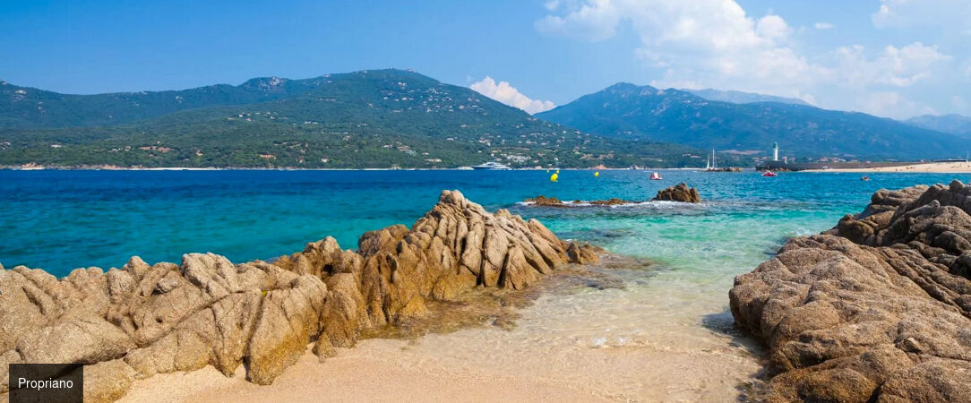 Domaine Arcobiato ★★★★★ - Confort luxueux et panorama de rêve, la Corse authentique sur le Golfe de Valinco. - Corse, France