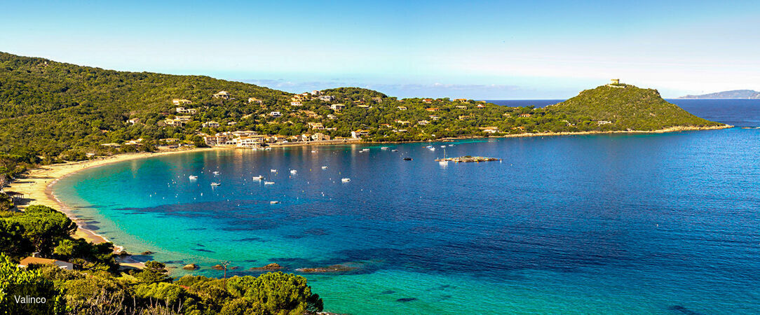 Domaine Arcobiato ★★★★★ - Confort luxueux et panorama de rêve, la Corse authentique sur le Golfe de Valinco. - Corse, France