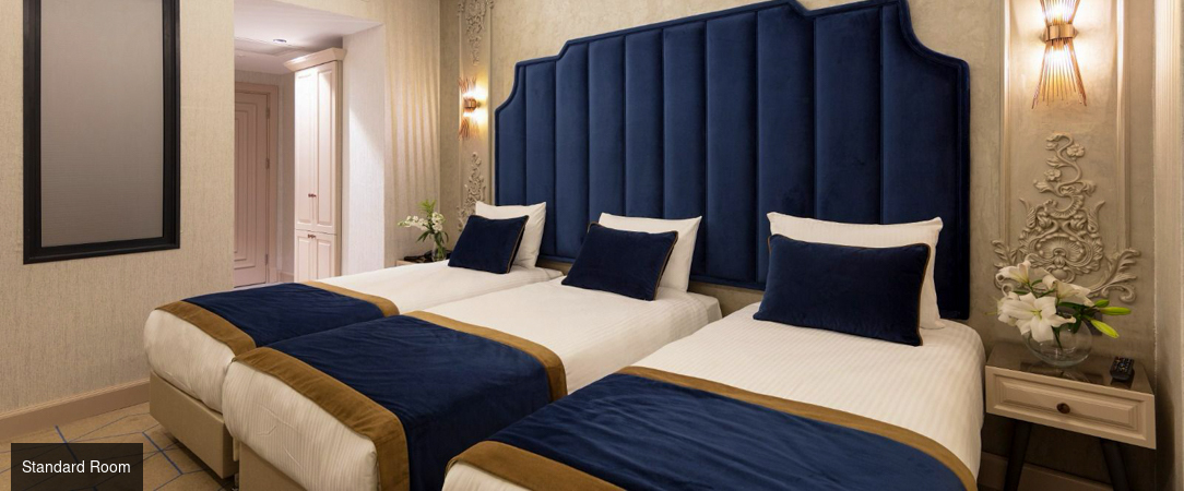 Danis Hotel & Spa Istanbul ★★★★ - Un élégant refuge entre Orient et Occident, au cœur vibrant d’Istanbul. - Istanbul, Turkey