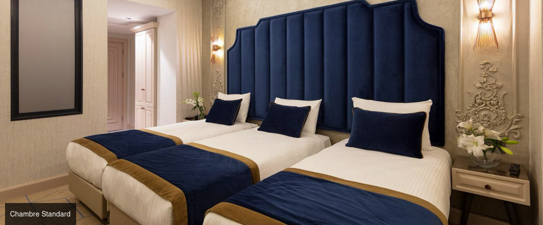 Danis Hotel & Spa Istanbul ★★★★ - Un élégant refuge entre Orient et Occident, au cœur vibrant d’Istanbul. - Istanbul, Turquie