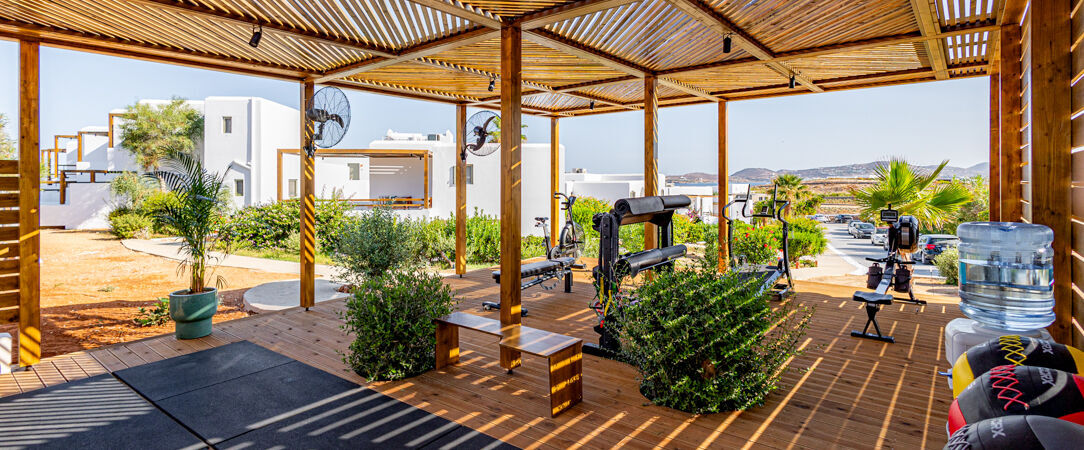 Andronis Minois ★★★★★ - Suites de rêve sur la mer Égée, entre design et quiétude. - Île de Paros, Grèce