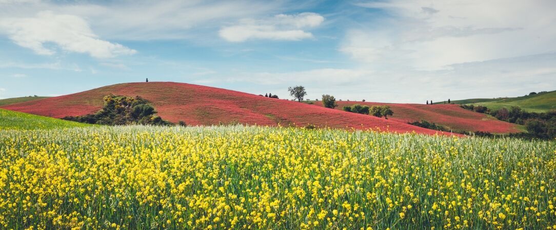 Borgo Scopeto Relais ★★★★★ - Luxe toscan au cœur des collines, face à la beauté intemporelle de Sienne. - Tuscany, Italy