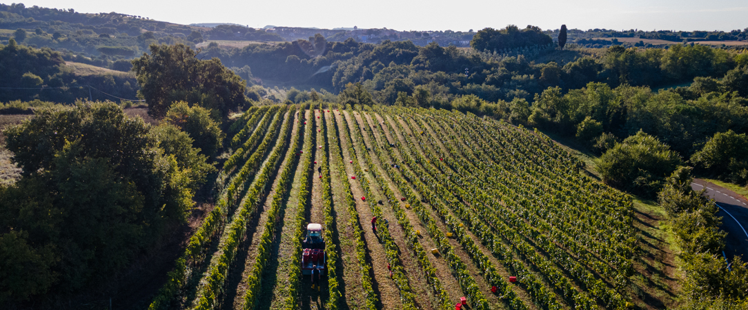 Il Podere di Marfisa ★★★★ - Entre vignes et collines bucoliques, une escapade italienne entre bien-être, confort et dégustations. - Viterbe, Italy