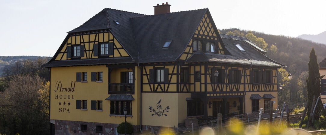 Hôtel Arnold ★★★★ - Séjour de charme au cœur d’un vignoble alsacien, entre douceur familiale, plaisir culinaire et détente. - Alsace, France