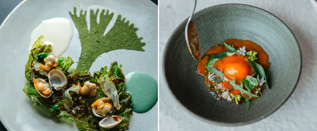 Hôtel La Butte Plouider ★★★★ - La semaine des Chefs étoilés : le Chef Nicolas Conraux vous invite ! - Bretagne, France