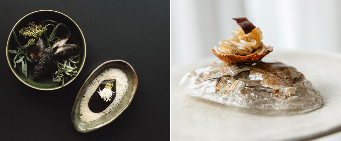 Hôtel La Butte Plouider ★★★★ - La semaine des Chefs étoilés : le Chef Nicolas Conraux vous invite ! - Bretagne, France