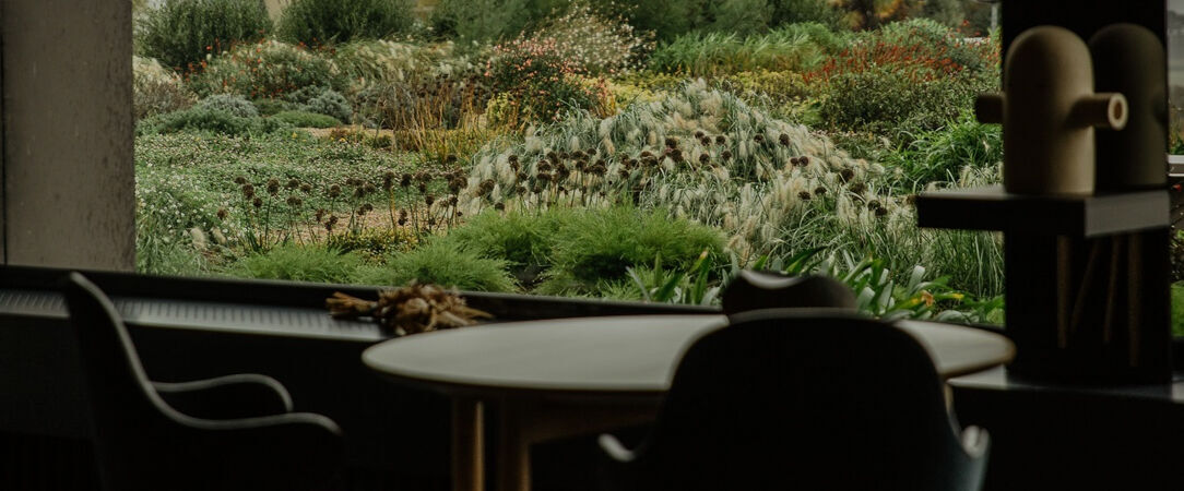 Hôtel La Butte Plouider ★★★★ - La semaine des Chefs étoilés : le Chef Nicolas Conraux vous invite ! - Finistère, France