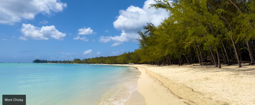 Choisy Les Bains with LOV ★★★★ - Une adresse élégante pour explorer la beauté de l’île Maurice, à proximité de la magnifique plage Mont Choisy. - Mont Choisy, Île Maurice