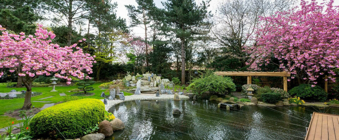 Hotel Okura Amsterdam ★★★★★ - Quand le raffinement japonais rencontre l’élégance néerlandaise, au cœur d’Amsterdam. - Amsterdam, Pays-Bas
