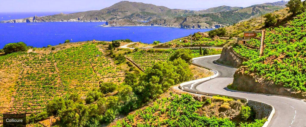 Boutique Hôtel Maison Nova ★★★★★ - Un établissement luxueux et artistique dans la douceur méditerranéenne de la côte Vermeille. - Occitanie, France