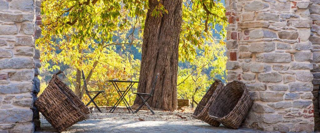 Hemanaire ★★★★★ - Une retraite de slow living au cœur du Piémont italien, entre collines, vignes et silence apaisant. - Piémont, Italie
