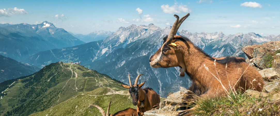 Le Refuge Chez La Tante - Mont d'Arbois - Un refuge suspendu au-dessus de Megève où l’on redécouvre la montagne, la nature & la douceur de vivre. - Saint-Gervais-les-Bains, France