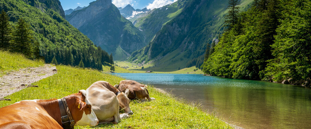 Le Refuge Chez La Tante - Mont d'Arbois - Un refuge suspendu au-dessus de Megève où l’on redécouvre la montagne, la nature & la douceur de vivre. - Saint-Gervais-les-Bains, France