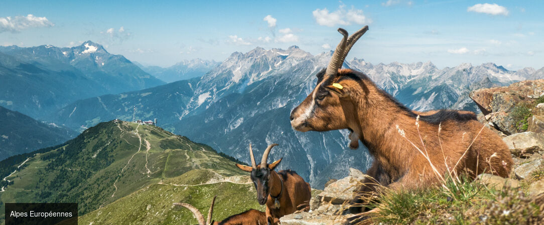 Le Refuge Chez La Tante - Mont d'Arbois - Un refuge suspendu au-dessus de Megève où l’on redécouvre la montagne, la nature et la douceur de vivre. - Saint-Gervais-les-Bains, France