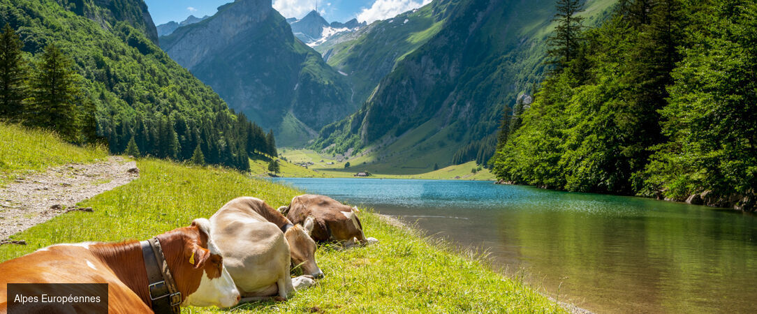 Le Refuge Chez La Tante - Mont d'Arbois - Un refuge suspendu au-dessus de Megève où l’on redécouvre la montagne, la nature et la douceur de vivre. - Saint-Gervais-les-Bains, France