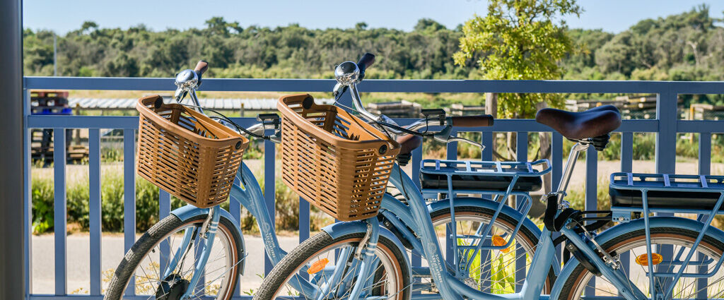 Domaine Les Crayères ★★★★★ - Un refuge d’élégance intemporelle au cœur de Reims, entre art de vivre et haute gastronomie. - Talmont-Saint-Hilaire, France
