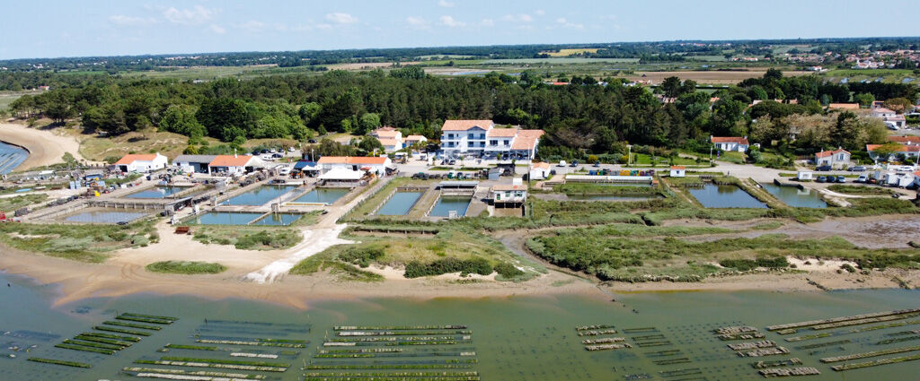 Domaine Les Crayères ★★★★★ - Un refuge d’élégance intemporelle au cœur de Reims, entre art de vivre et haute gastronomie. - Talmont-Saint-Hilaire, France